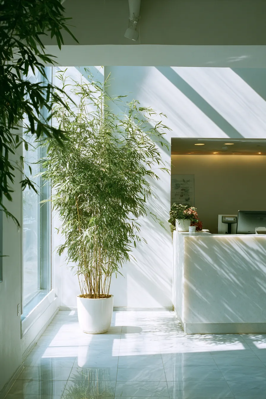 明るいオフィスの受付と観葉植物